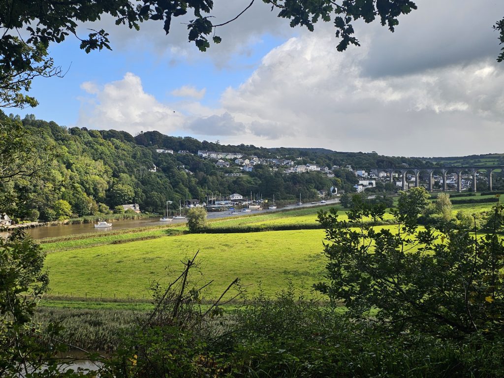 The river Tamar and Calstock from Cotehele